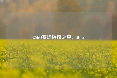 CSGO赛场璀璨之星,Miga