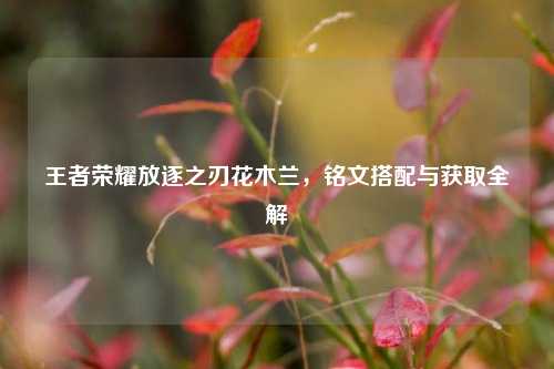 王者荣耀放逐之刃花木兰,铭文搭配与获取全解