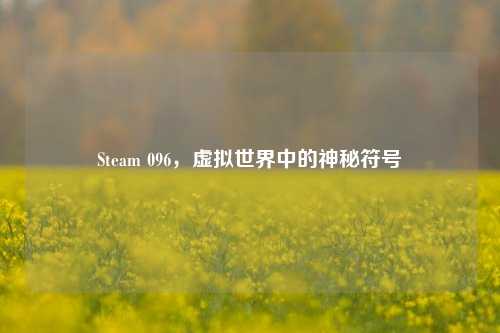 Steam 096,虚拟世界中的神秘符号