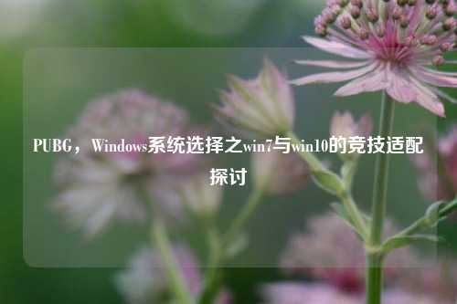 PUBG,Windows系统选择之win7与win10的竞技适配探讨