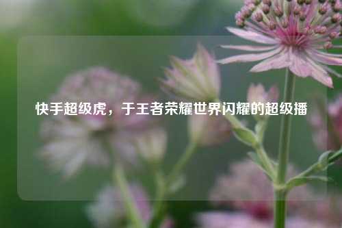 快手超级虎,于王者荣耀世界闪耀的超级播