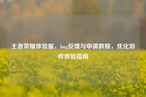 王者荣耀体验服,bug反馈与申请教程,优化游戏体验指南