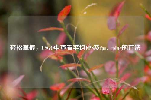轻松掌握,CSGO中查看平均FPS及fps、ping的方法