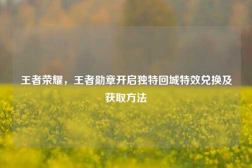 王者荣耀,王者勋章开启独特回城特效兑换及获取方法