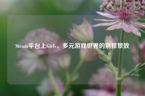 Steam平台上Girls,多元游戏世界的别样景致
