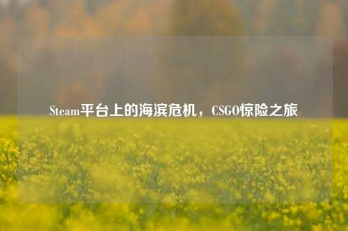 Steam平台上的海滨危机,CSGO惊险之旅