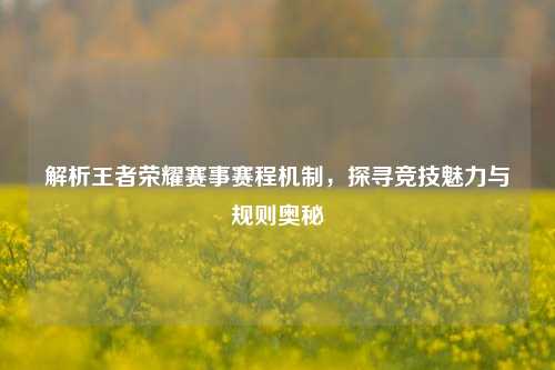 解析王者荣耀赛事赛程机制，探寻竞技魅力与规则奥秘