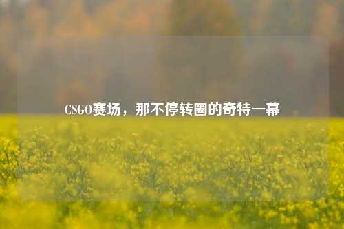 CSGO赛场,那不停转圈的奇特一幕