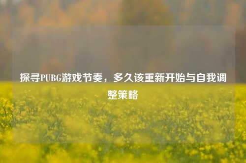 探寻PUBG游戏节奏,多久该重新开始与自我调整策略