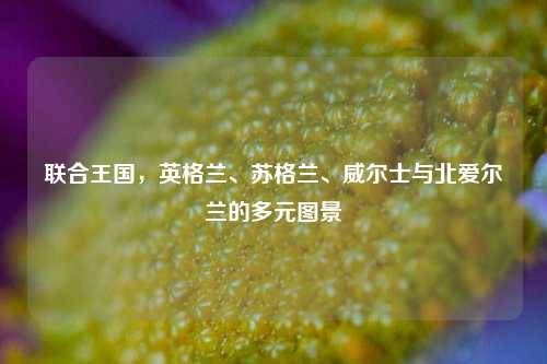 联合王国,英格兰、苏格兰、威尔士与北爱尔兰的多元图景