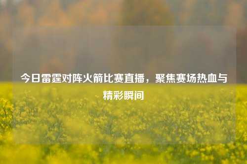 今日雷霆对阵火箭比赛直播,聚焦赛场热血与精彩瞬间