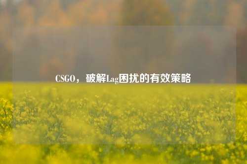 CSGO,破解Lag困扰的有效策略