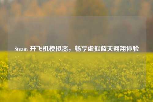 Steam 开飞机模拟器，畅享虚拟蓝天翱翔体验