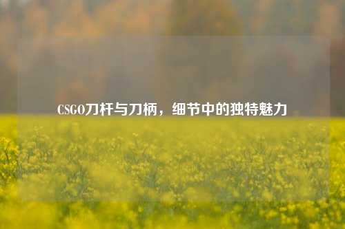 CSGO刀杆与刀柄,细节中的独特魅力