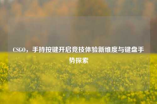 CSGO,手持按键开启竞技体验新维度与键盘手势探索
