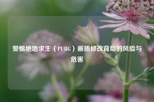 警惕绝地求生(PUBG)画质修改背后的风险与危害