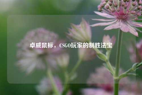 卓威鼠标,CSGO玩家的制胜法宝