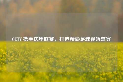 CCTV 携手法甲联赛,打造精彩足球视听盛宴