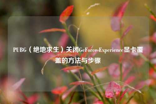 PUBG(绝地求生)关闭GeForce Experience显卡覆盖的方法与步骤