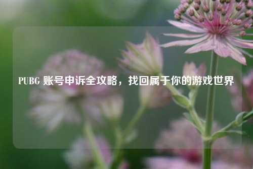 PUBG 账号申诉全攻略,找回属于你的游戏世界