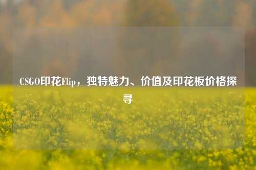 CSGO印花Flip,独特魅力、价值及印花板价格探寻