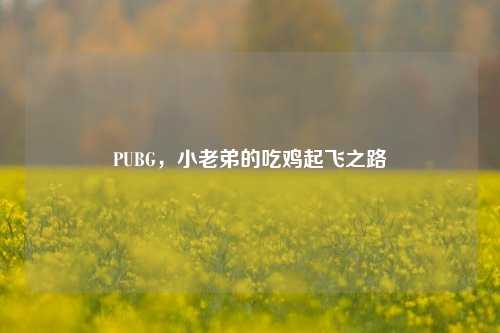 PUBG,小老弟的吃鸡起飞之路
