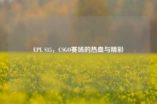 EPL S15,CSGO赛场的热血与精彩