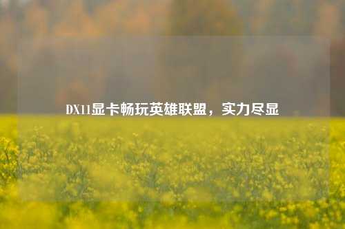 DX11显卡畅玩英雄联盟,实力尽显