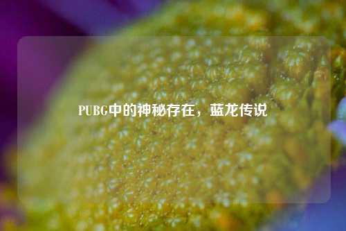 PUBG中的神秘存在,蓝龙传说