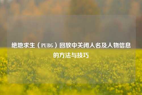 绝地求生(PUBG)回放中关闭人名及人物信息的方法与技巧