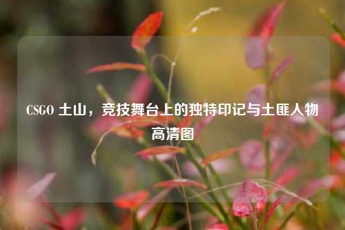 CSGO 土山,竞技舞台上的独特印记与土匪人物高清图