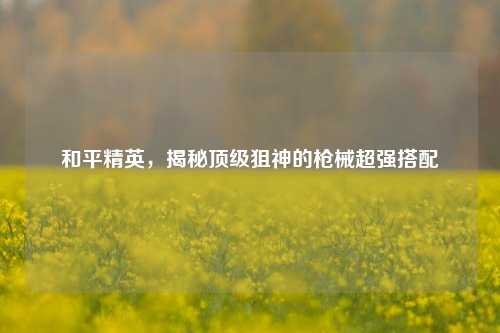 和平精英,揭秘顶级狙神的枪械超强搭配