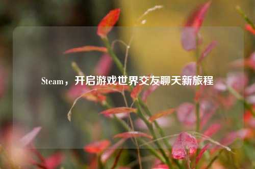 Steam,开启游戏世界交友聊天新旅程