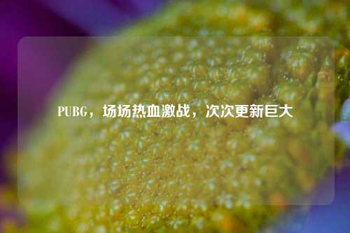 PUBG,场场热血激战,次次更新巨大
