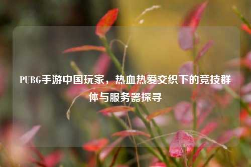 PUBG手游中国玩家,热血热爱交织下的竞技群体与服务器探寻