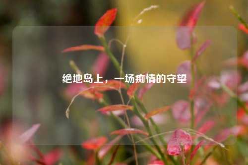 绝地岛上,一场痴情的守望