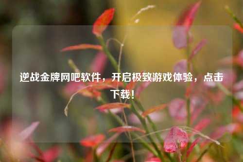 逆战金牌网吧软件,开启极致游戏体验,点击下载!