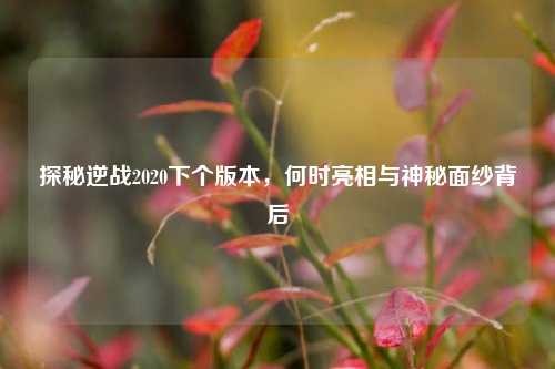 探秘逆战2020下个版本，何时亮相与神秘面纱背后