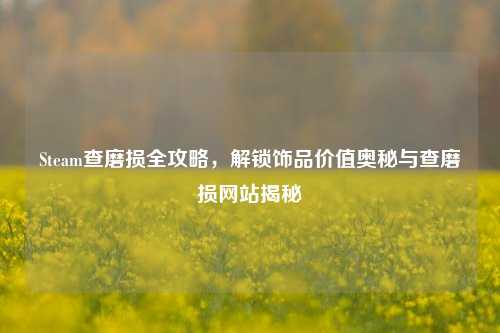 Steam查磨损全攻略,解锁饰品价值奥秘与查磨损网站揭秘