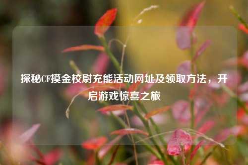 探秘CF摸金校尉充能活动网址及领取方法，开启游戏惊喜之旅