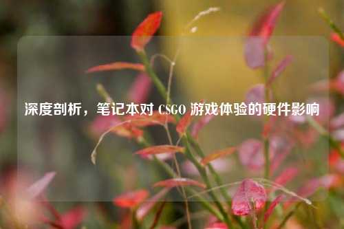 深度剖析，笔记本对 CSGO 游戏体验的硬件影响