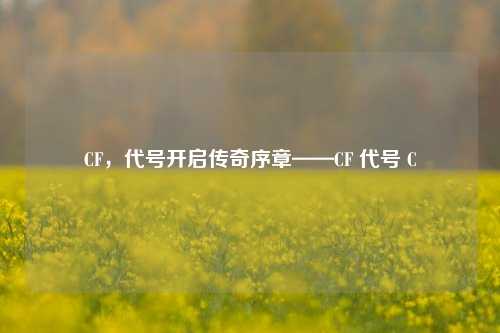 CF，代号开启传奇序章——CF 代号 C