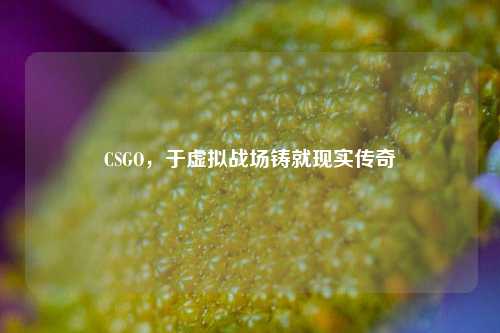 CSGO，于虚拟战场铸就现实传奇