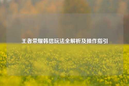 王者荣耀韩信玩法全解析及操作指引
