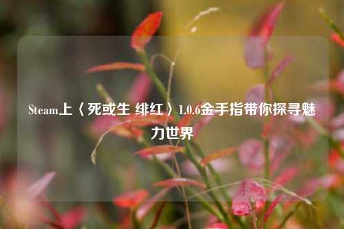Steam上〈死或生 绯红〉1.0.6金手指带你探寻魅力世界