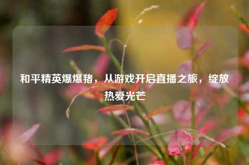 和平精英爆爆猪,从游戏开启直播之旅,绽放热爱光芒