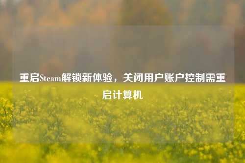 重启Steam解锁新体验,关闭用户账户控制需重启计算机