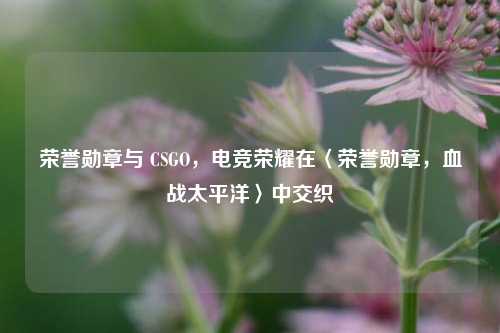 荣誉勋章与 CSGO,电竞荣耀在〈荣誉勋章,血战太平洋〉中交织