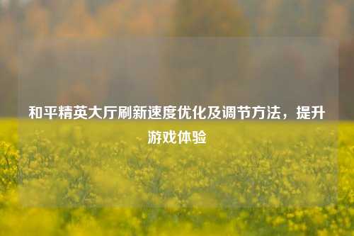 和平精英大厅刷新速度优化及调节方法,提升游戏体验