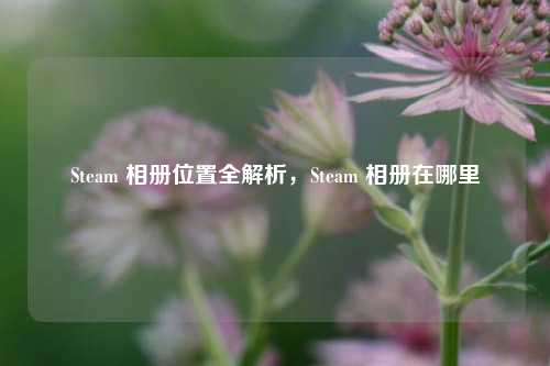 Steam 相册位置全解析,Steam 相册在哪里